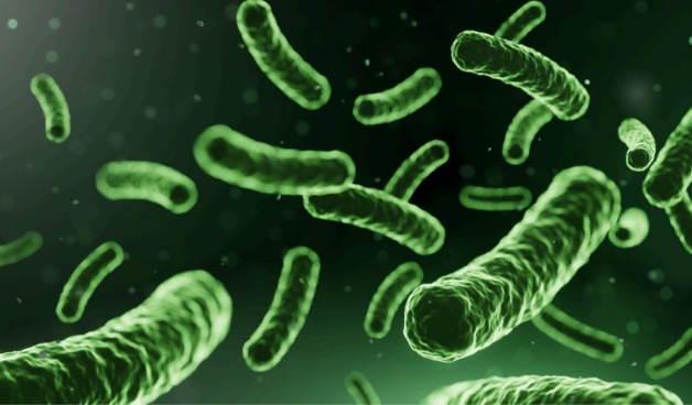 Our Microbiome, an incredible chemical environment and battlefield!