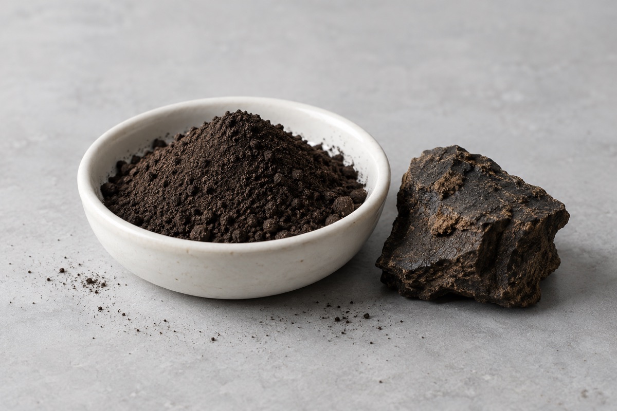 Illustrative study: Dark humic powder in a porcelain dish beside weathered leonardite; not an actual GCI product photograph.