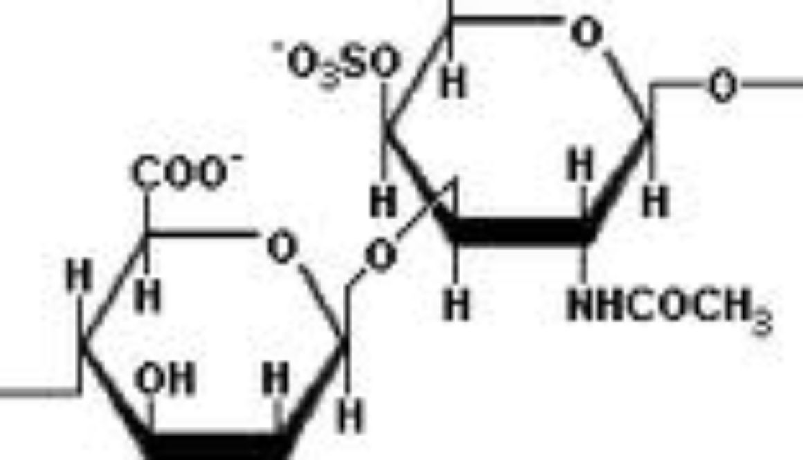 chondroitin_sulfate2