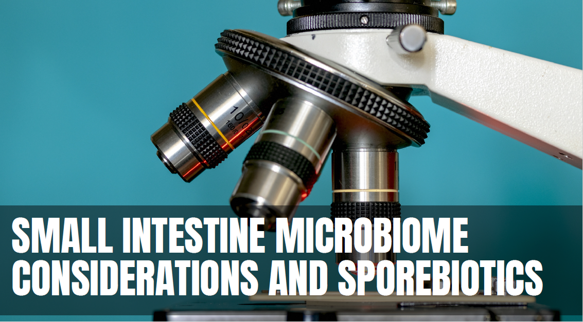 Small Intestine Microbiome Considerations and Sporebiotics