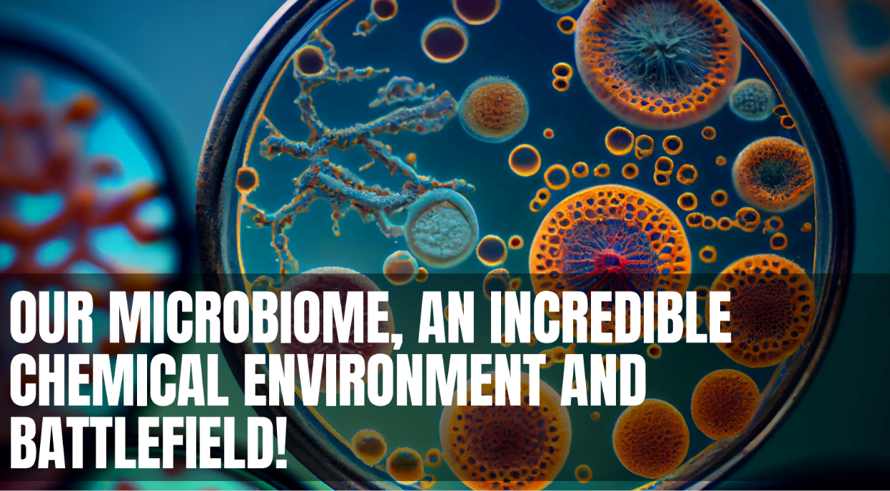Our Microbiome, an incredible chemical environment and battlefield!